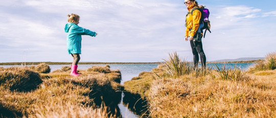 Las claves para gestionar una adopción