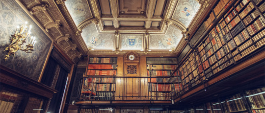 Bibliomanía: la acumulación incontrolable de libros