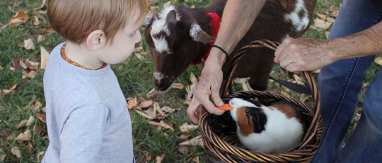 ¿Cómo comunicarme mejor con mis hijos?