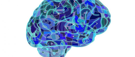 Tipos de memoria: ¿cómo almacena los recuerdos el cerebro humano?