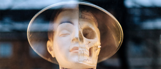 Las 6 diferencias entre la Ciencia y la Filosofía