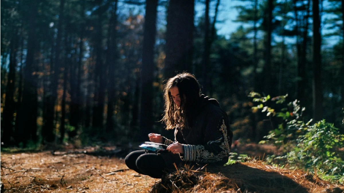 125 frases sobre el medio ambiente y la ecología, image size:1200x675