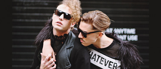 Los 10 tipos de homosexualidad (y características)