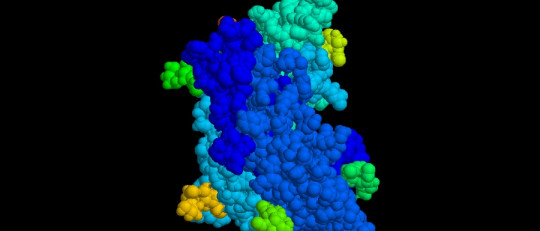 Hormona foliculoestimulante