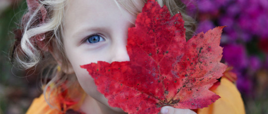 Cómo prevenir el abuso sexual infantil