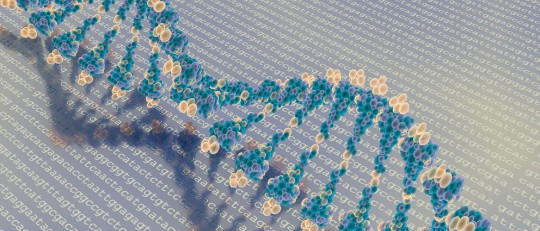¿Qué es la epigenética? Claves para entenderlo