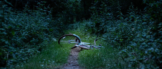 Prevención de la violencia: recursos para la formación profesional