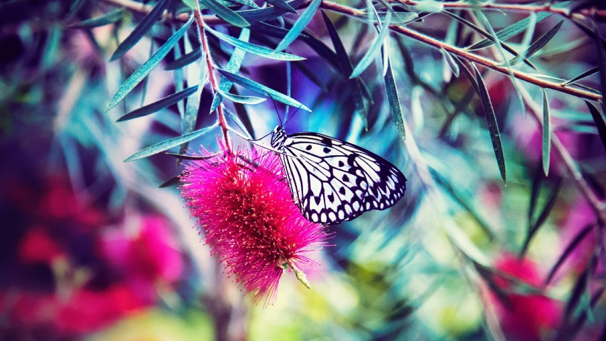 Qué es la Teoría del Caos y qué nos revela?