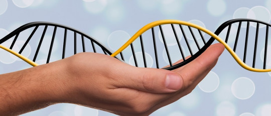 Diferencias entre ADN y ARN