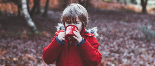 Finlandia eliminará las asignaturas escolares y dará libertad a los niños