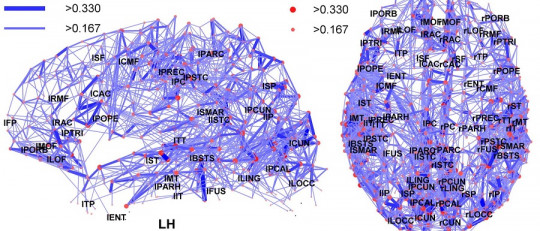 Diferencias entre el cerebro del hombre y el de la mujer