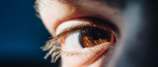 La resiliencia en psicoterapia