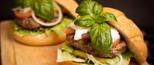 Los 12 tipos de nutrición y sus características