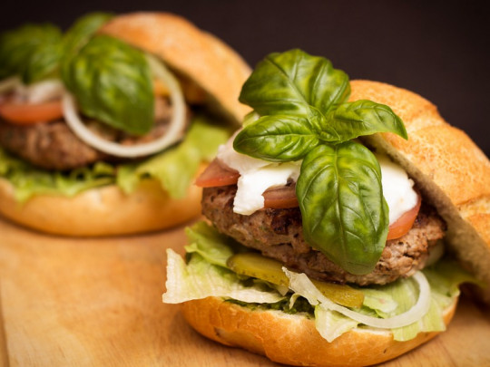 Los 12 tipos de nutrición y sus características