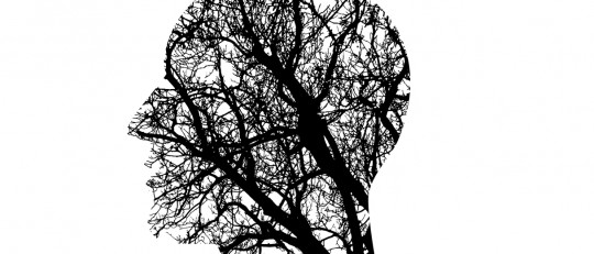 Cómo funciona la memoria humana (y cómo nos engaña)