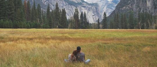 El cerebro de los bisexuales tiene características propias