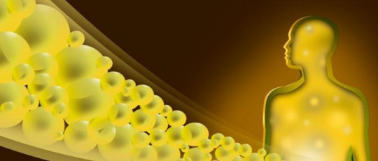 Bilirrubina alta (ictericia): causas, síntomas y tratamiento