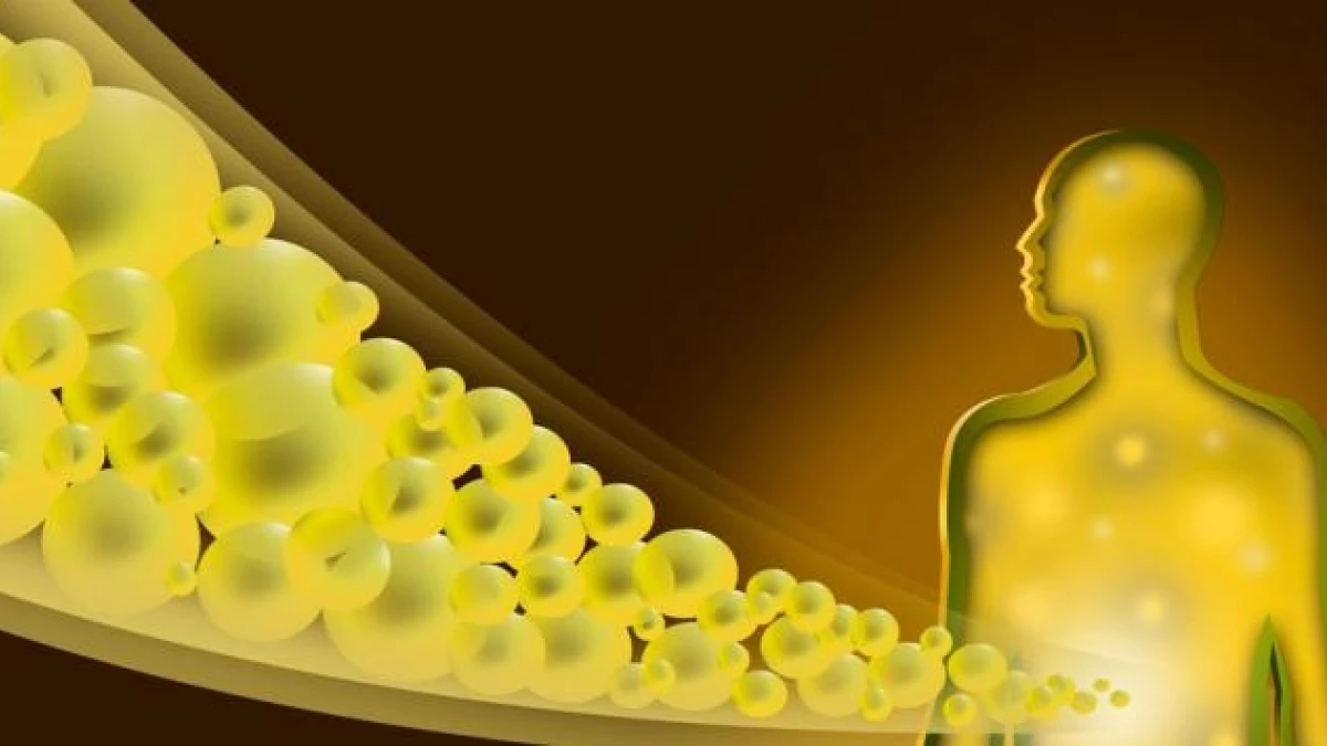 Bilirrubina alta (ictericia): causas, síntomas y tratamiento