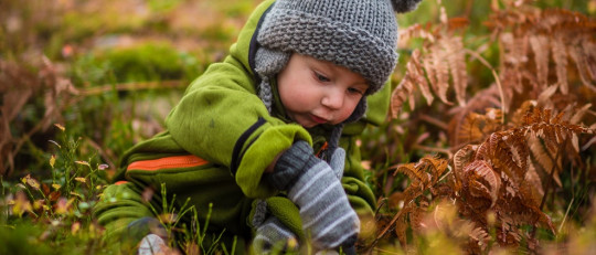 Las 5 etapas del desarrollo de la personalidad