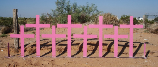 Feminicidio (asesinatos a mujeres): definición, tipos y causas