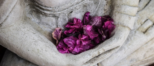 ¿Qué son las terapias de tercera generación?