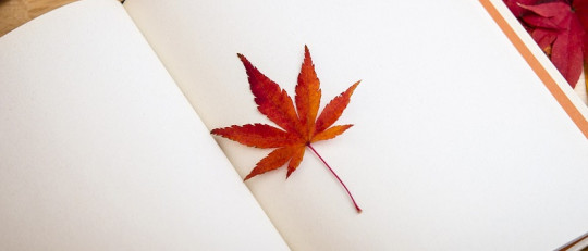 Terapia Narrativa: la forma de psicoterapia basada en historias sobre la vida del paciente