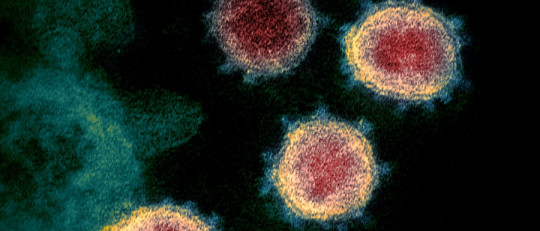 Cómo influye el coronavirus en la salud mental