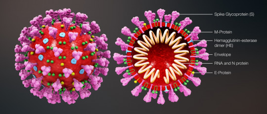 Coronavirus gobiernos