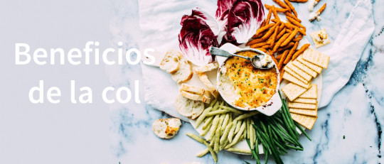 12 beneficios de la col para tu salud