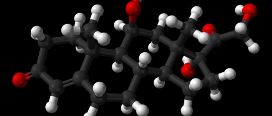 Cortisol: la hormona que nos genera estrés