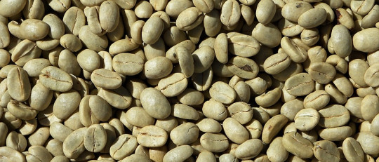 16 beneficios y propiedades del café verde