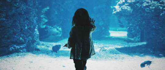 Las 7 fobias específicas más comunes