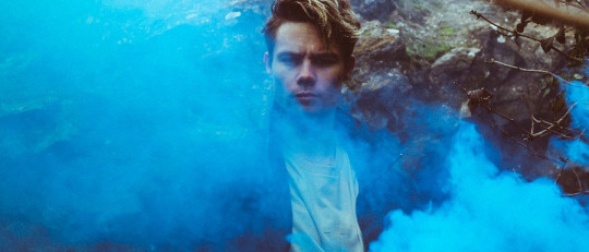 Los 4 tipos de marihuana: el cannabis y sus características