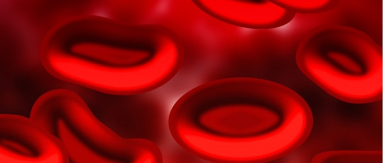 Tipos de sangre: características y composiciones