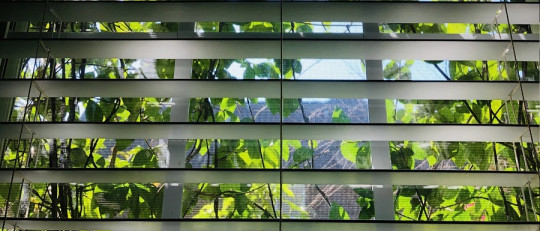 Cómo pasar la cuarentena