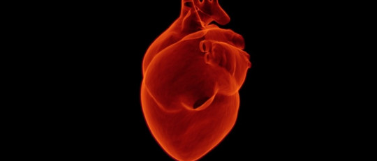 Tipos de taquicardia: síntomas y causas posibles