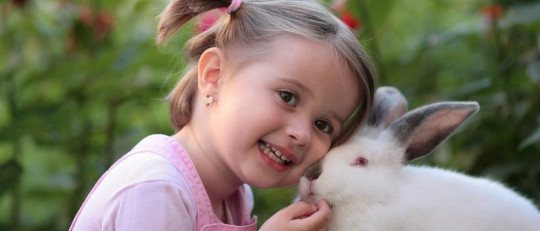 La evolución del concepto de Discapacidad Intelectual