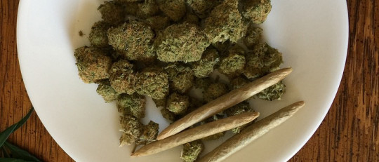 La legalización de la marihuana en México y sus efectos