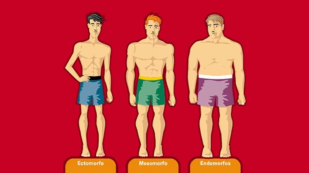 Los 7 tipos de cuerpo (o somatotipos): ¿cuáles son?