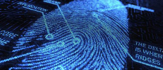 Criminología: la ciencia que estudia delitos y crímenes