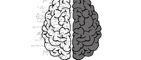 Cerebro humano: sus estructuras y áreas principales