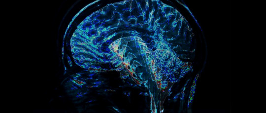 Terapias Neurocientíficas: una revolución en la psicoterapia