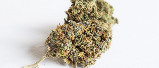 13 claves para saber si tu hijo fuma marihuana