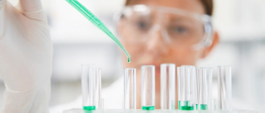 Los 15 tipos de investigación (y características)