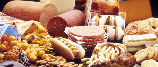 ¿Cómo actúa el azúcar y la grasa en nuestro cerebro?