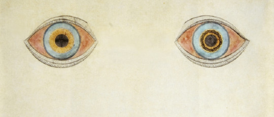 Grisi siknis: síntomas y causas de este síndrome cultural