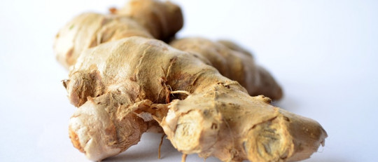 18 beneficios del jengibre para tu cuerpo y tu salud