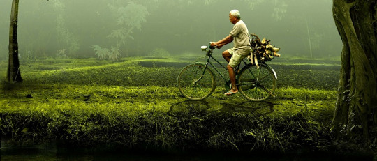 Sincronicidad: la ciencia detrás de las casualidades significativas