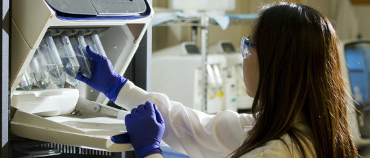 Tipos de técnicas de investigación