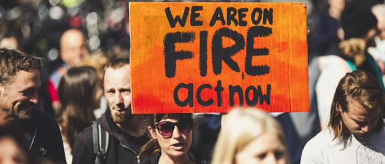 ¿La ideología política es heredable?